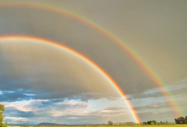 dreaming of a rainbow