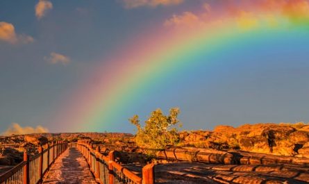 dreaming of a rainbow