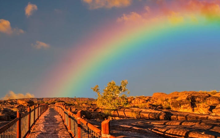 dreaming of a rainbow