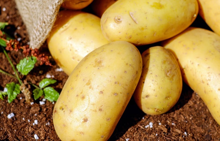 22 Spiritual Meanings of Dreaming of Potatoes